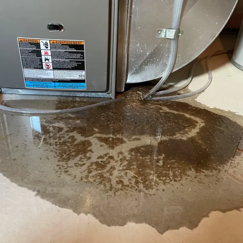 Appliance Leak Cleanup in Paia, HI