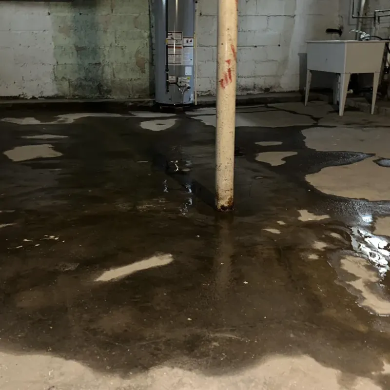 Emergency Water Extraction And Removal in Paia, HI